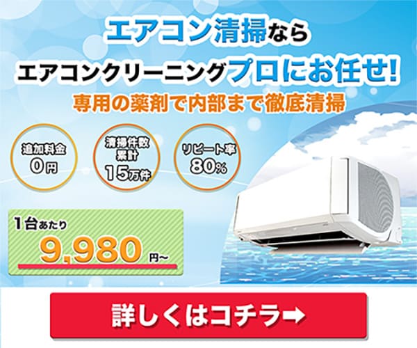 エアコンクリーニングプロ